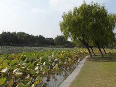 -东华大学(松江校区)