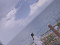 -广东惠东海龟国家级自然保护区