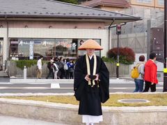 -松岛