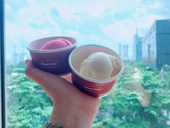 哈根达斯雪糕-铭门盛宴艺术海鲜姿造(珠江新城店)