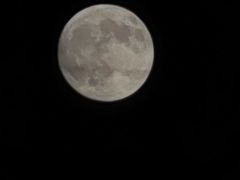 -文宇奶酪店(南锣鼓巷店)