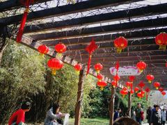 -白马涧龙池景区