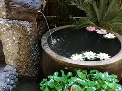 -三道苗苗鱼·美蛙黄辣丁(八里店)