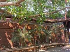 -东寨港红树林旅游区