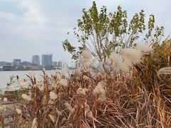 -上海山野camping·户外天幕烧烤·团建拓展营地