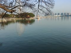 -无锡蠡湖国家湿地公园-蠡园