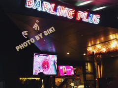 -Darling Queen·Mini·Live·House