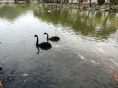 -珠海圆明新园