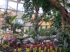 -北京植物园-展览温室