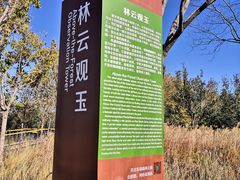 -东郊湿地公园