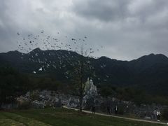 -千岛湖石林