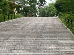 -上海佘山国家森林公园西佘山园