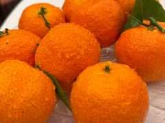 -侨美食家·41年地道粤菜(恒福路店)