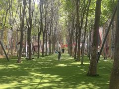 -草根堂农场