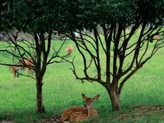 -良渚古城遗址公园