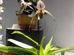 -北京植物园-展览温室