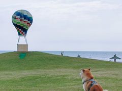 -秦皇岛阿尔卡迪亚滨海度假酒店