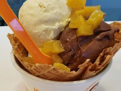 -iceason爱茜茜里·意大利健康冰淇淋(骑龙巷店)