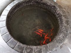 -不倒翁·徽天下名菜楼(马鞍山路店)