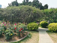 -人民公园(罗湖区)