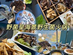 -野菌皇海景野生菌火锅(滨海大道店)