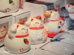 -猫咪博物馆(顶澳仔猫街店)