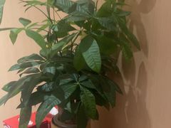 -海底捞火锅(关山保利店)