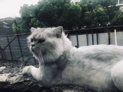 点击看大图 -蚂蚁造型沙龙