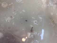 -豫石记羊汤(北苑店)