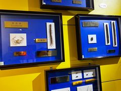 -上海昆虫博物馆