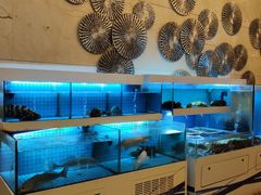 -酌宴府The China Club·广州万富希尔顿酒店(云城东路店)