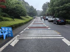 -金水泊山庄·花椒鸡(铁山坪店)