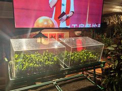 -大匠工房古船木艺术餐厅·猪肚鸡专门店(长白仙岛店)