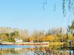 -东郊湿地公园