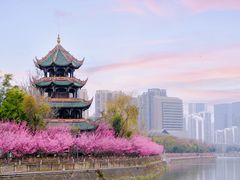 -望江楼公园