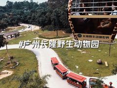 -广州长隆野生动物世界