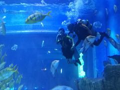 -华夏文旅海洋公园