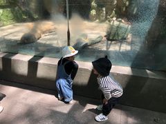 -杭州少年儿童公园