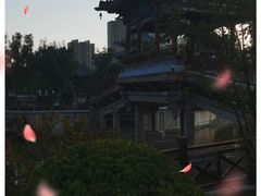 -迎泽公园