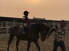 -月河湾马术俱乐部(朝阳店)