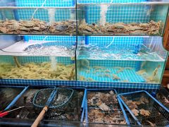 水产区-老东镇啤酒屋海鲜加工·蒸汽海鲜·海鲜烧烤(台东店)