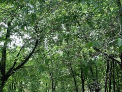 -玉渡山自然风景区