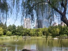 -新虹桥中心花园