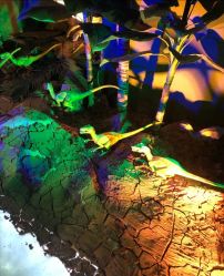 -恐龙探索乐园(磁器口店)