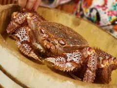 -蟹田居·活蟹料理(东城店)