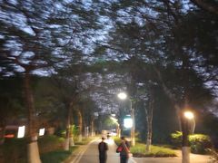 -海珠湖公园
