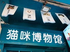 -猫咪博物馆(顶澳仔猫街店)