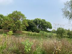 -梁鸿国家湿地公园