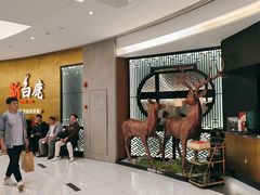 -新白鹿餐厅(虹桥南丰城店)