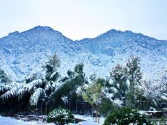 景点-莲峰云海景区